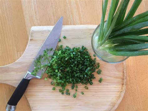 How To Store Green Onions In The Fridge So They Dont Wilt