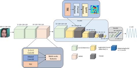 Figure From Remote Physiological Measurement With Multiscale Feature