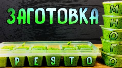 Соус В Стиле Песто С Базиликом | Песто Заготовка На Зиму | #Базилик ...