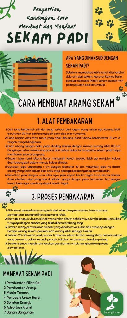 Sekam Padi Pengertian Cara Membuat And Manfaat Bagi Tanaman