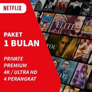 Jual Jasa Pembuatan Akun Netflix Premium Private Account 1 Bulan