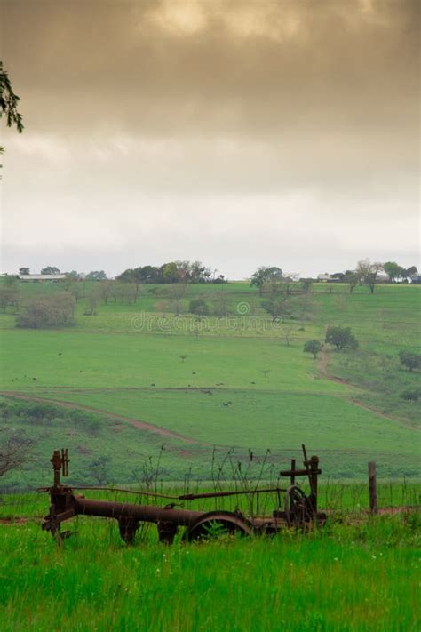 Very Pretty Landscape of the Famous Savannah Stock Image - Image of savannah, green: 303325155