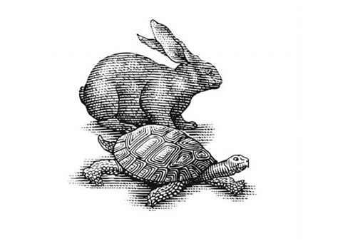 Steven Noble Illustrations: Hare & tortoise