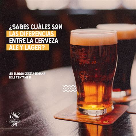 Del blog Cuáles son las diferencias entre las cervezas ale lager y