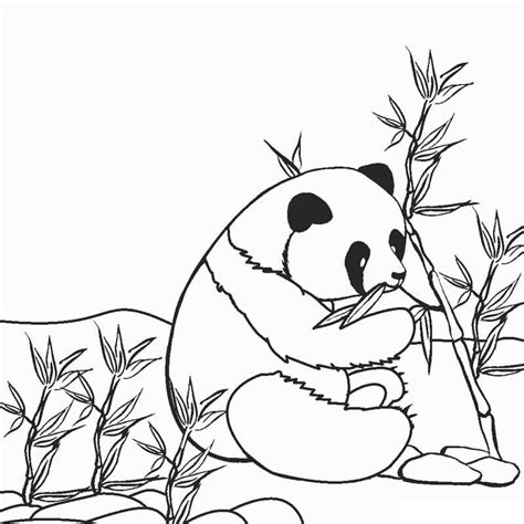 Panda Bambu Az Dibujos Para Colorear Riset