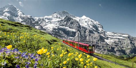 book     fly   world swiss
