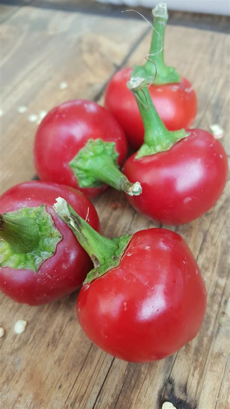 Peperoncini Ripieni Di Tonno Capperi Ed Acciughe Unfioreincucina