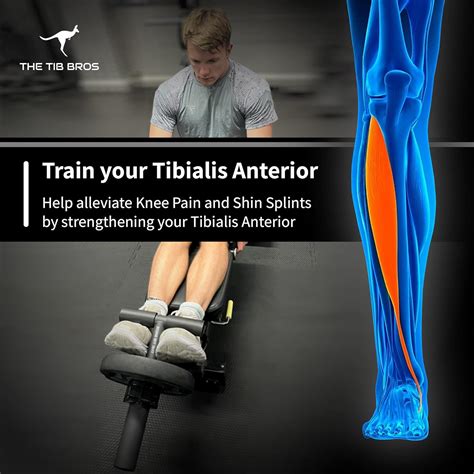 Tib Bar Tibialis Raise Bar For Tibialis Anterior Strengthening