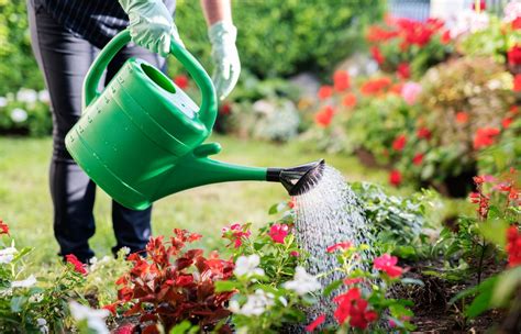 Voici Le Moment Pr Cis O Il Faut Arroser Votre Jardin En Hiver Pour