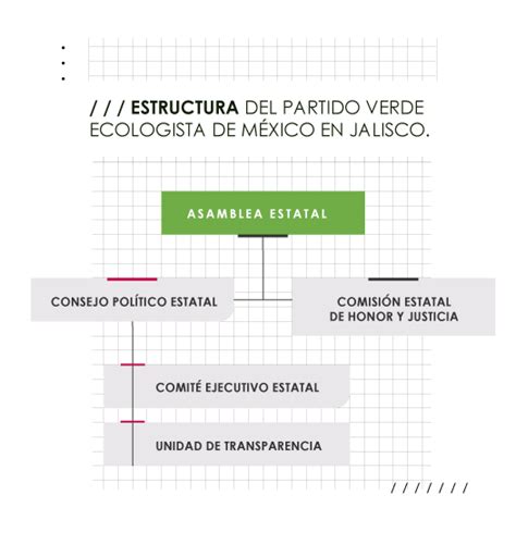 Estructura Del Partido Verde Ecologista De México En Jalisco Pvem Jalisco