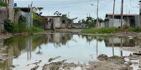 Ecuador preocupado por casos de leptospirosis en época de lluvias