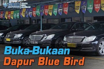 Harga Mobil Bekas Blue Bird 2021 General Tips