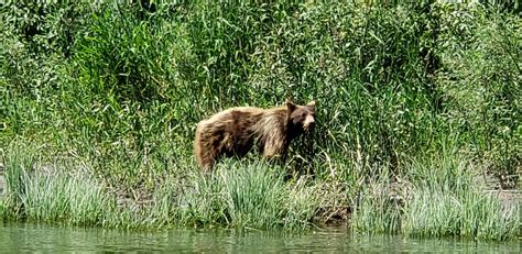 Klamath River Jet Boat Tours All You Need To Know Before You Go