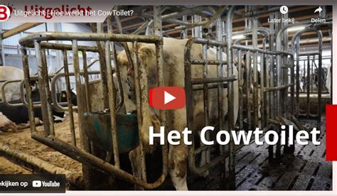 Boerderij Hoe Werkt Het Cowtoilet Het Cowtoilet Is Een Uitvinding