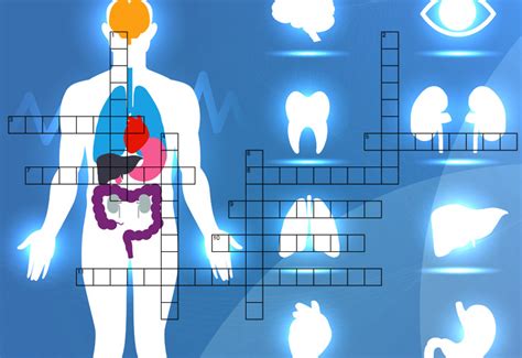 Key Concepts in Biological Systems - Crossword | kidCourseskidCourses.com