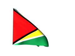 Flag Guyana Animated Flag Gif