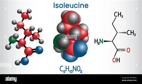 Molécula de aminoácido de isoleucina L isoleucina Ile I Se