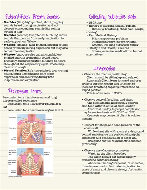 Fund4 - breath sounds - Crackles (fine)-high-pitched, short, popping ...