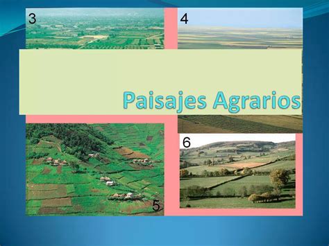 Paisajes Agrarios Ppt