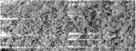 Figure 2 from Biosynthesis of lead oxide nanoparticles using Ocimum lamiifolium leaves extract ...