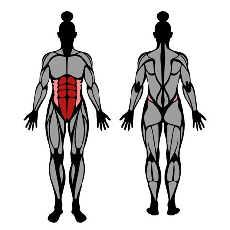 Sit-Up: Muscles Worked & Technique – StrengthLog