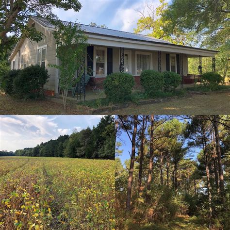 mississippi ranch for sale