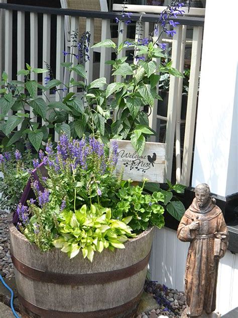 Why You Should Plant Perennials In Containers Plus Tips Buffalo