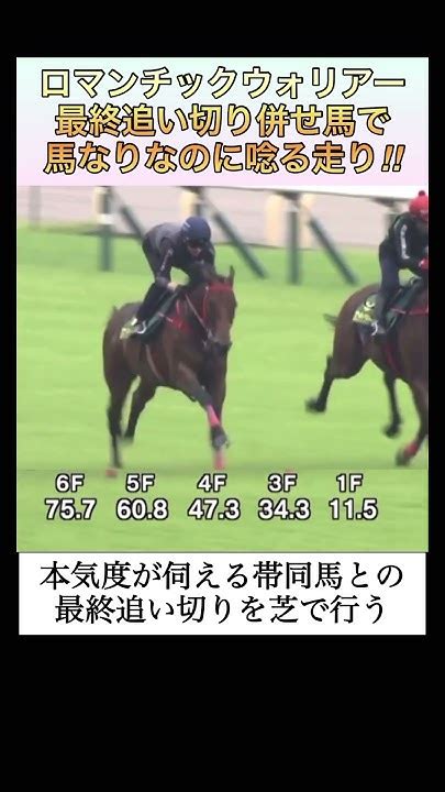 【競馬】ロマンチックウォリアー安田記念への最終追い切りで唸る走り‼︎ 競馬 ロマンチックウォリアー 安田記念 Youtube