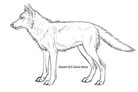 Wolf Free Lineart By Canis Ferox On Deviantart