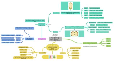 Fisiologi Tumbuhan Kumpulan Pertanian Tingkatan 5 Coggle Diagram