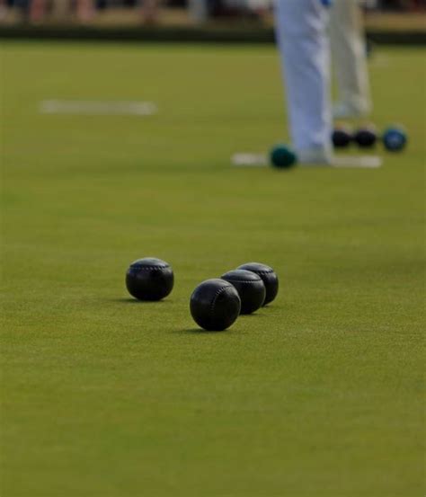 Natural Turf Bowling Green or Synthetic | Bioscapes Group