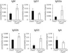 Fezf Orchestrates A Thymic Program Of Self Antigen Expression For