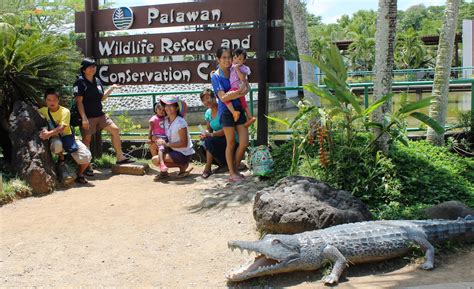 Penang Chronicles: Palawan Part 3 - Crocodile Farm