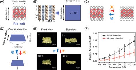 Deformation Of Lce Actuators With Rib Knit Pattern Under Thermal