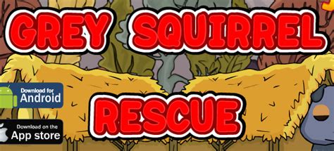 Grey Squirrel Rescue - Play Online on Flash Museum 🕹️