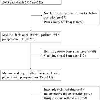 Flowchart Of The Study Population Ct Computed Tomography Cs