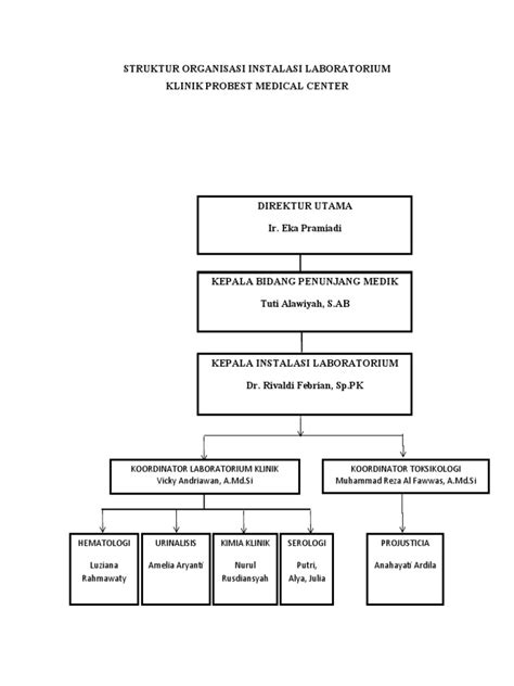 Contoh Struktur Organisasi Klinik Pdf