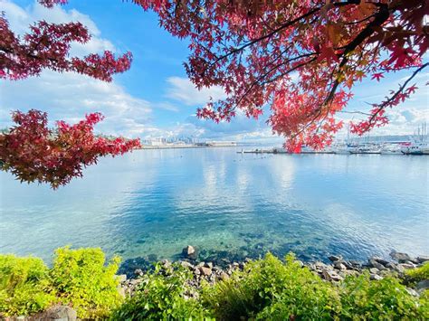 Best Fall Colors In Seattle Amazing Fall Photography Spots