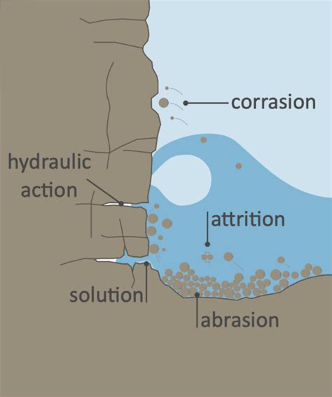 Physical Processes In Coastal Areas Internet Geography