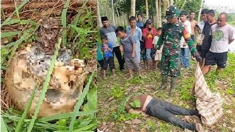 Warga Temukan Tengkorak Manusia Di Sungai Batang Tebo Jambi Diduga