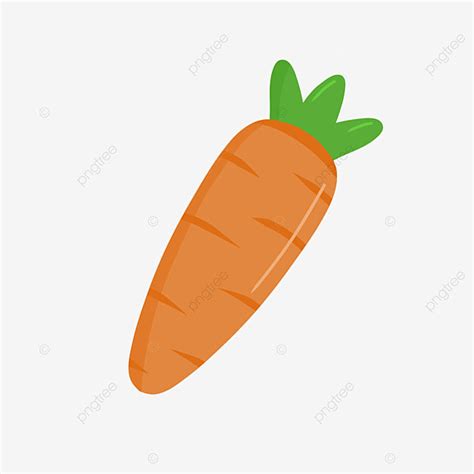 Carrots Healthy Carrot Vegetable Food Cartoon Cartoons Png