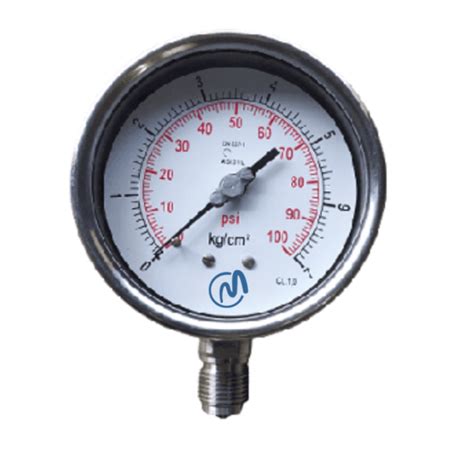 All Ss Standard Pressure Gauge Controlate Maestro