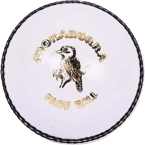 Amazon.in: Kookaburra - Cricket Balls / Cricket Equipment: Sports ...