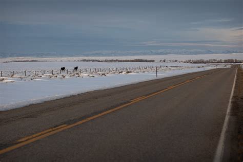 Statewide Support for Wildlife Conservation - Wyoming Wildlife Federation