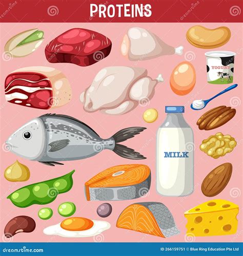 Variety of Protein Meats with Text Stock Vector - Illustration of