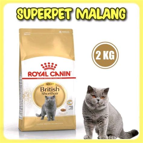 Jual Royal Canin Adult British Short Hair 2kg Makanan Kucing Dewasa 2