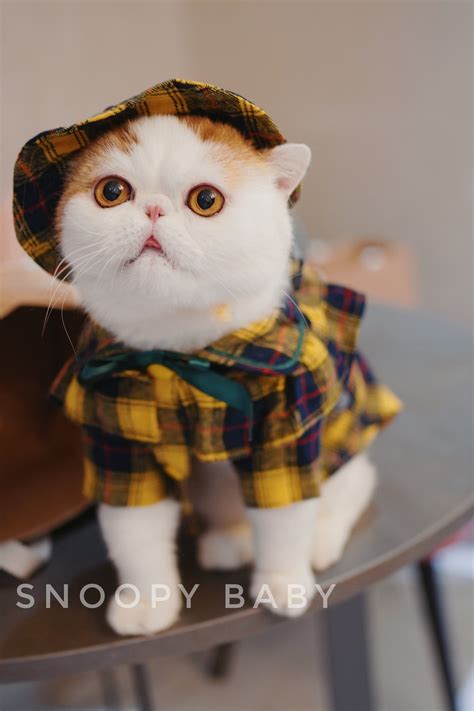 Snoopy Cat