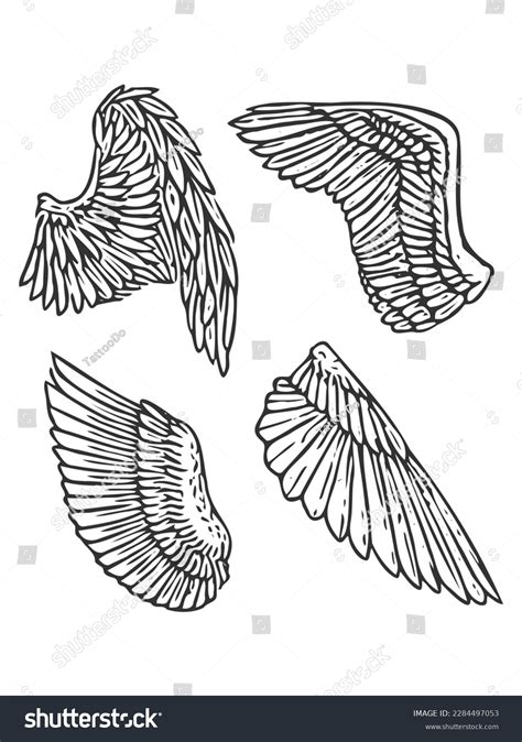 Angel Wings Bird Wings Collection Cartoon Stock Vector (Royalty Free ...