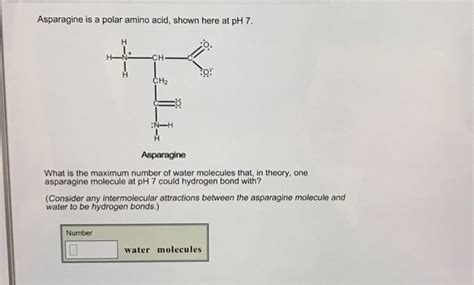 Solved Asparagine Is A Polar Amino Acid Shown Here At PH 7 Chegg