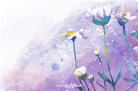 Красивая акварель ромашка цветочный фон | Бесплатно векторы